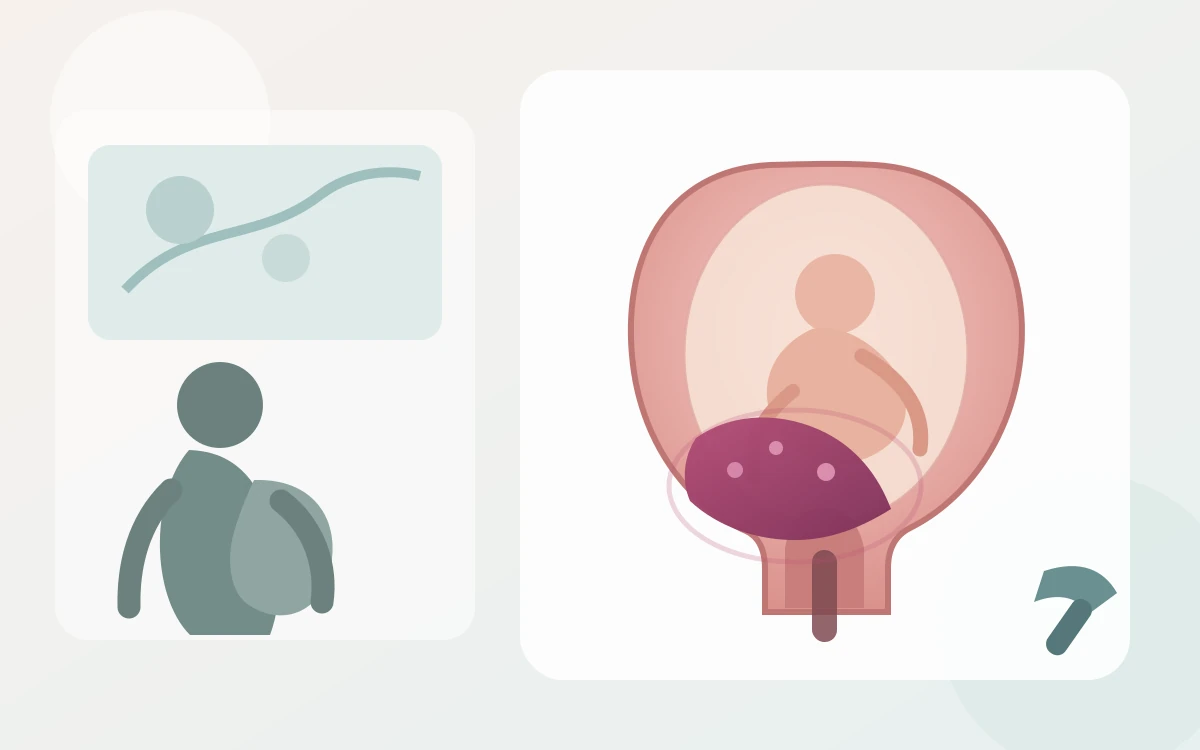 Placenta prævia : que signifie un placenta bas et quand faut-il s’inquiéter ?